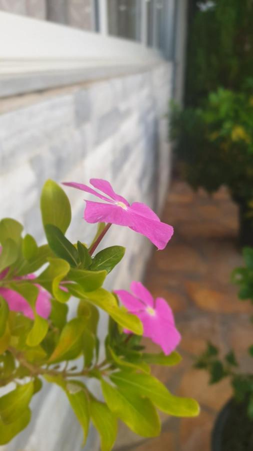 Hotel Frida Himare Exterior foto